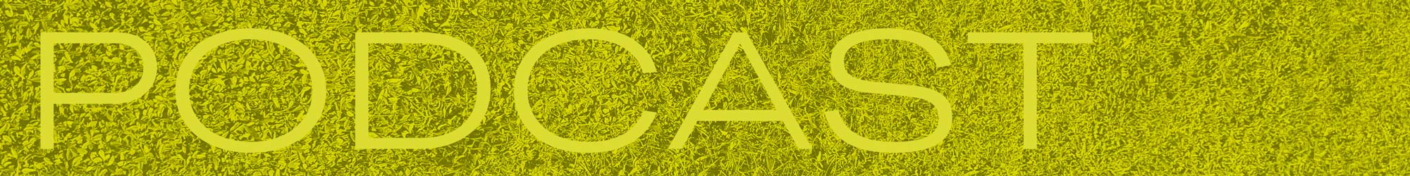 podcast banner