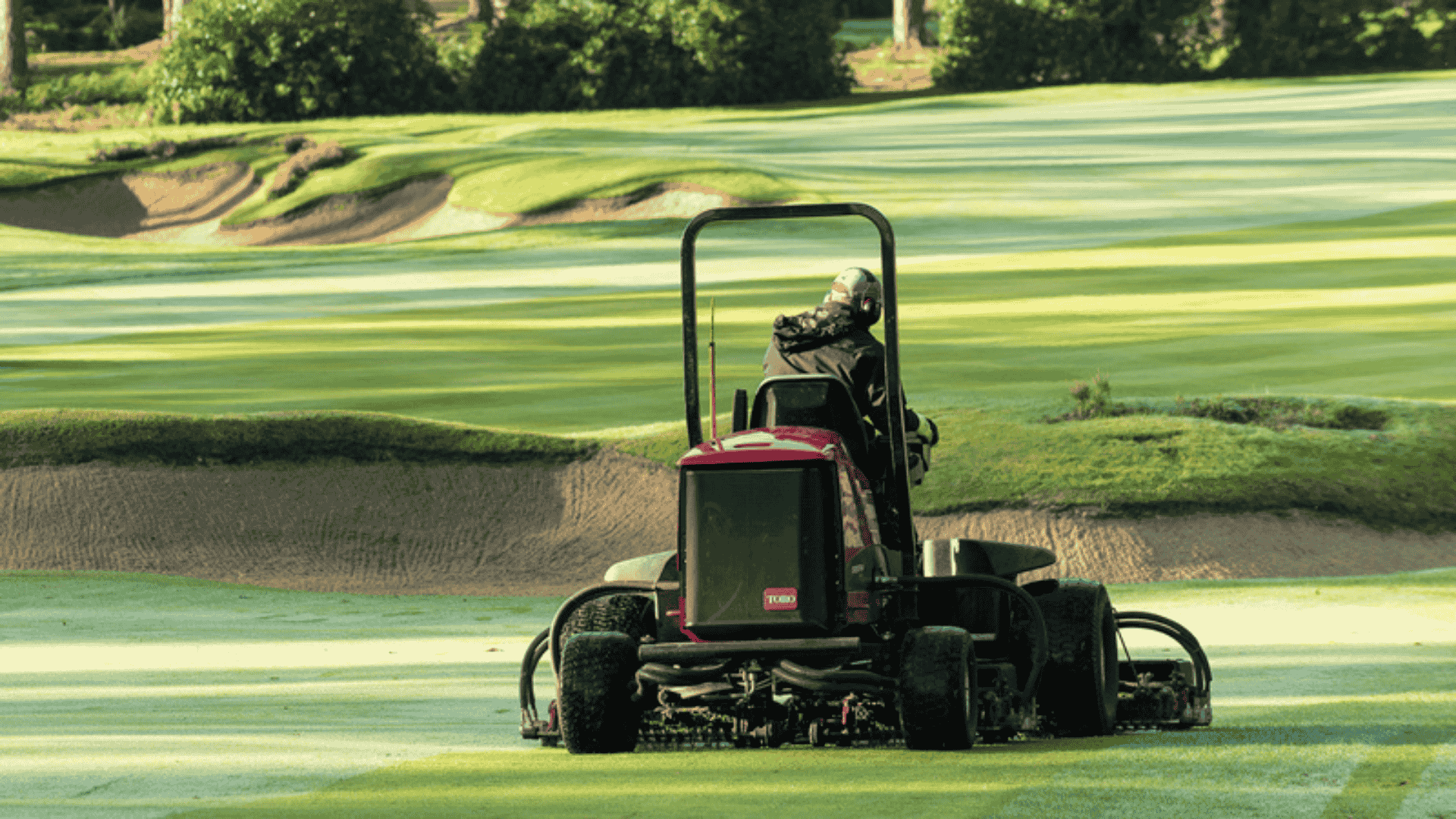 Toro client photo