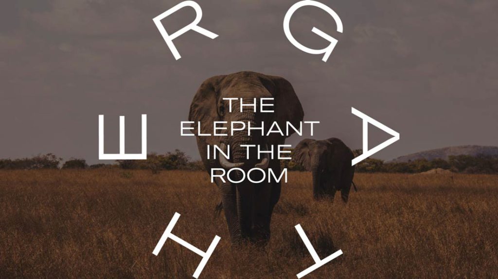 Elephant in the room